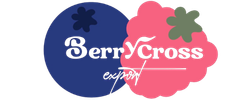 BerryCross — Moroccan Fresh Produce